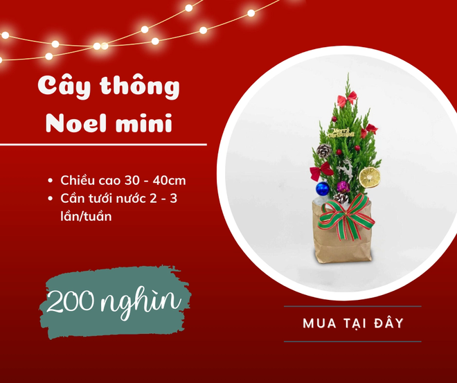 Trang trí phòng khách đón Noel với chi phí chưa đến 2 triệu đồng - Ảnh 3.