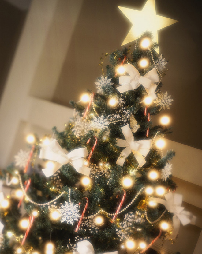 Những món đồ không thể thiếu khi trang trí cây thông Noel - Ảnh 1.