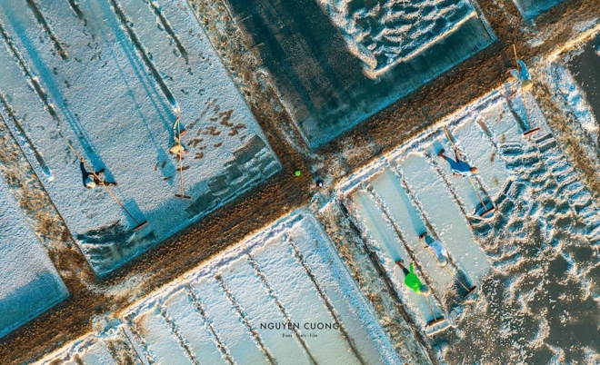 Đi Vũng T&agrave;u nhiều nhưng kh&ocirc;ng phải ai cũng biết c&aacute;nh đồng đẹp đến say l&ograve;ng n&agrave;y - Ảnh 6.