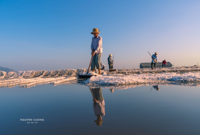 Đi Vũng Tàu nhiều nhưng không phải ai cũng biết cánh đồng đẹp đến say lòng này - Ảnh 5.