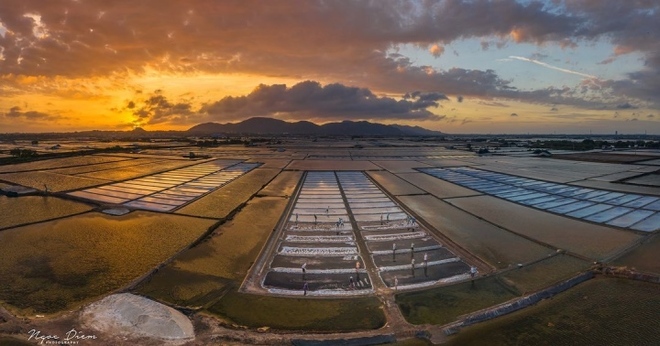 Đi Vũng T&agrave;u nhiều nhưng kh&ocirc;ng phải ai cũng biết c&aacute;nh đồng đẹp đến say l&ograve;ng n&agrave;y - Ảnh 3.