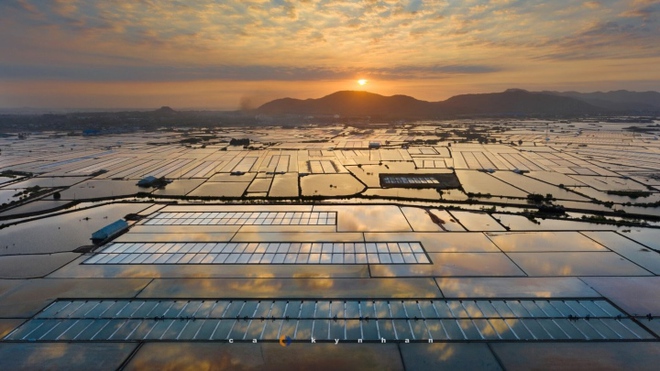 Đi Vũng T&agrave;u nhiều nhưng kh&ocirc;ng phải ai cũng biết c&aacute;nh đồng đẹp đến say l&ograve;ng n&agrave;y - Ảnh 2.