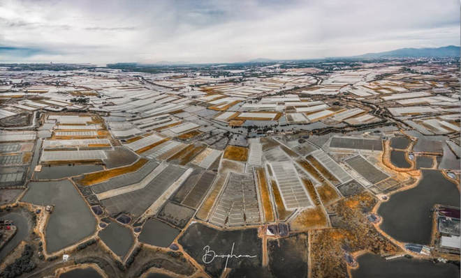 Đi Vũng T&agrave;u nhiều nhưng kh&ocirc;ng phải ai cũng biết c&aacute;nh đồng đẹp đến say l&ograve;ng n&agrave;y - Ảnh 1.