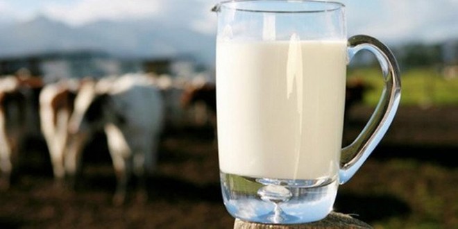 Sữa đậu nành hay sữa bò bổ dưỡng hơn? Câu trả lời khiến nhiều người phải chọn lại - Ảnh 3.