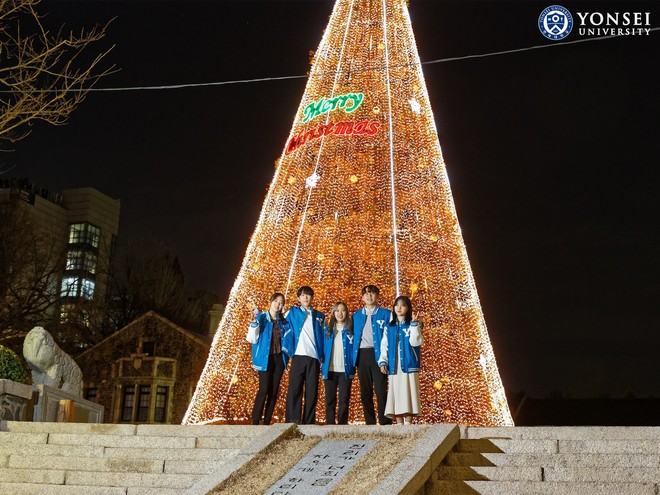 Choáng ngợp với những cây thông Noel tại các trường ĐH hàng đầu thế giới: Có nơi chịu chi trang trí cây cao hàng chục mét như toà tháp - Ảnh 4.