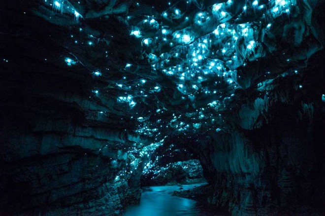 Choáng ngợp với những điểm đến ngoài đời thực của “bom tấn” Avatar 2, từ rừng nhiệt đới đến hang động phát sáng đều đẹp siêu thực - Ảnh 4.