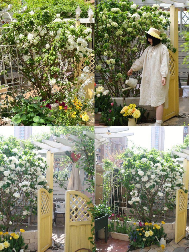 M&atilde;n nh&atilde;n trước khu vườn 4 m&ugrave;a hoa nở, c&acirc;y cối tươi tốt quanh năm của c&ocirc; g&aacute;i 9x - Ảnh 9.