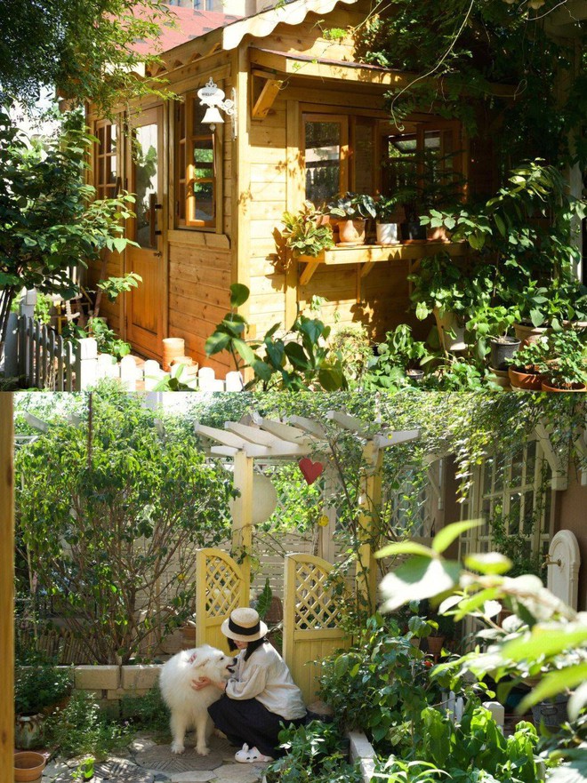 M&atilde;n nh&atilde;n trước khu vườn 4 m&ugrave;a hoa nở, c&acirc;y cối tươi tốt quanh năm của c&ocirc; g&aacute;i 9x - Ảnh 8.