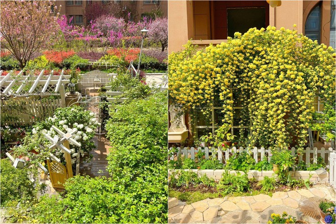 M&atilde;n nh&atilde;n trước khu vườn 4 m&ugrave;a hoa nở, c&acirc;y cối tươi tốt quanh năm của c&ocirc; g&aacute;i 9x - Ảnh 1.