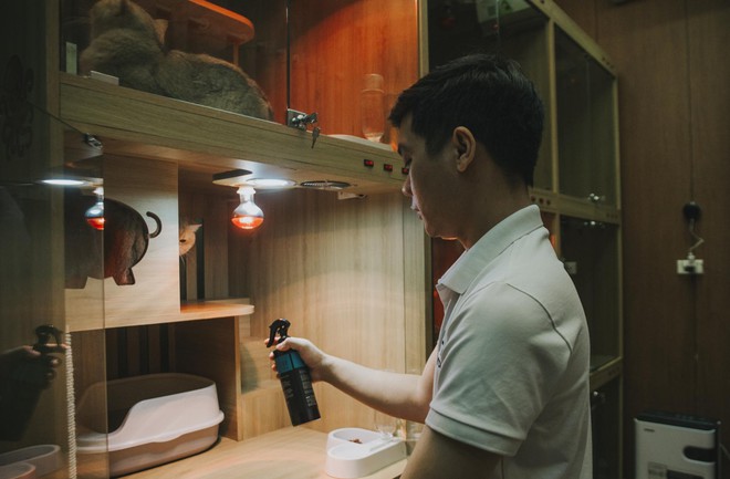 Hành trình đoạt giải cuộc thi sắc đẹp của mèo: Được chăm như em bé, tập thể dục mỗi ngày - Ảnh 13.