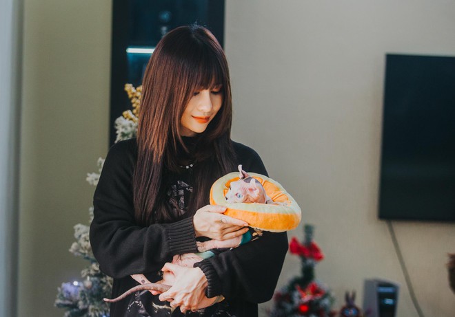Hành trình đoạt giải cuộc thi sắc đẹp của mèo: Được chăm như em bé, tập thể dục mỗi ngày - Ảnh 8.