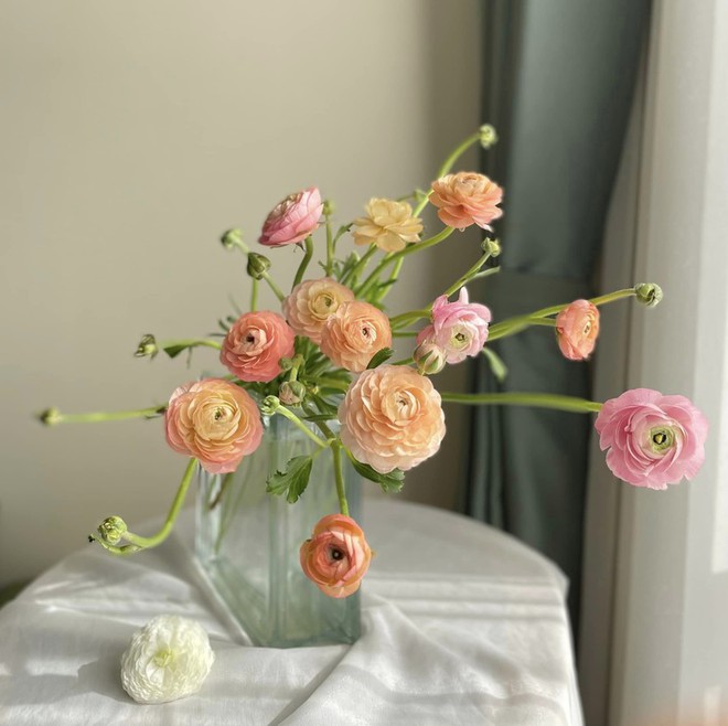 Gợi &yacute; c&aacute;ch cắm hoa mao lương tuyệt đẹp chơi Tết dương lịch - Ảnh 15.