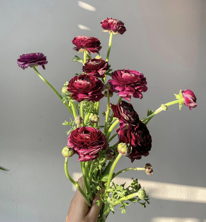 Gợi &yacute; c&aacute;ch cắm hoa mao lương tuyệt đẹp chơi Tết dương lịch - Ảnh 13.