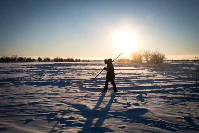 Các nhà khoa học đánh thức 13 loại virus thời tiền sử từ lớp băng vĩnh cửu ở Siberia - Ảnh 4.