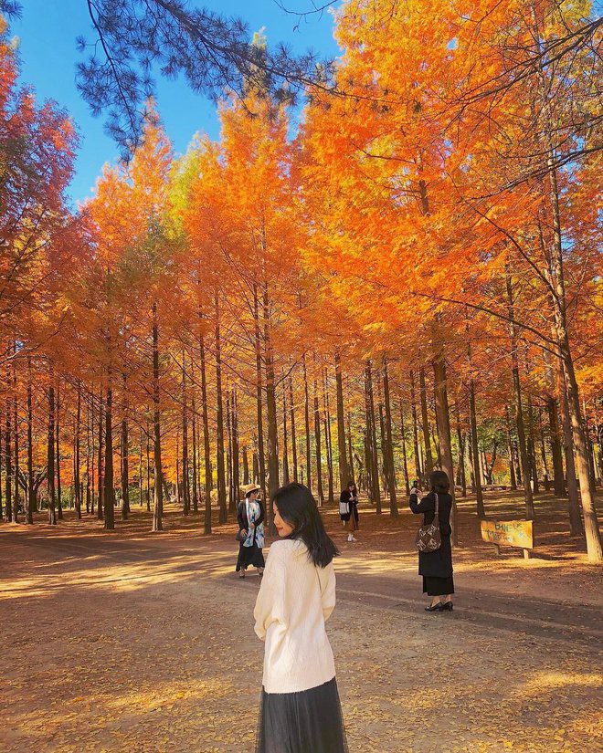 Trang phục nên mặc khi đi du lịch Hàn Quốc mùa thu Đẹp mà Chất