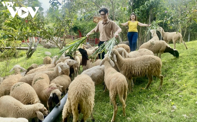 Đa dạng du lịch sinh thái, cộng đồng ở Bà Rịa-Vũng Tàu - Ảnh 3.