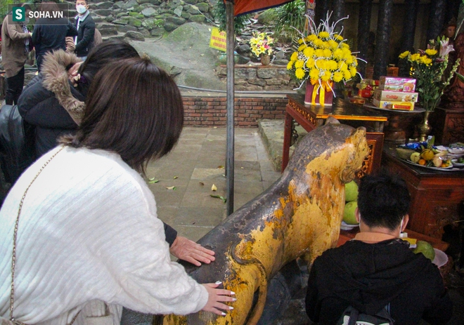 Du khách thi nhau xoa đầu tượng thần hổ ở chùa Hương, cầu mong bách bệnh tiêu tan - Ảnh 4.
