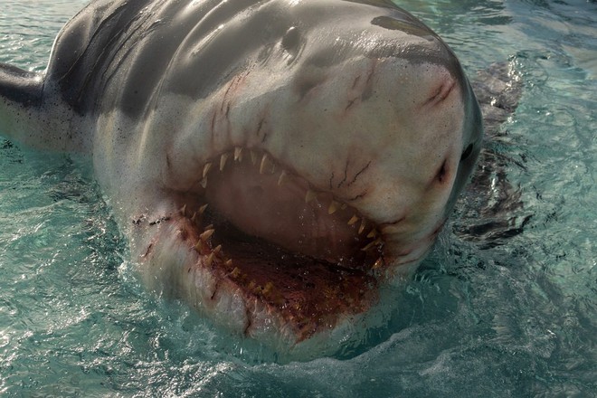 Phim Mỹ tiến của đạo diễn Hai Phượng bị ch&ecirc; dở tệ: Điểm thuộc h&agrave;ng thấp kỷ lục, netizen thế giới Bộ vớ đại ai tr&ecirc;n đường v&agrave;o đ&oacute;ng hay g&igrave;? - Ảnh 9.