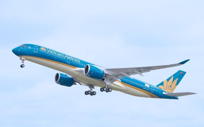 Cảnh sát Nhật bắt nghi phạm 17 tuổi dọa bắn rơi máy bay Vietnam Airlines - Ảnh 1.