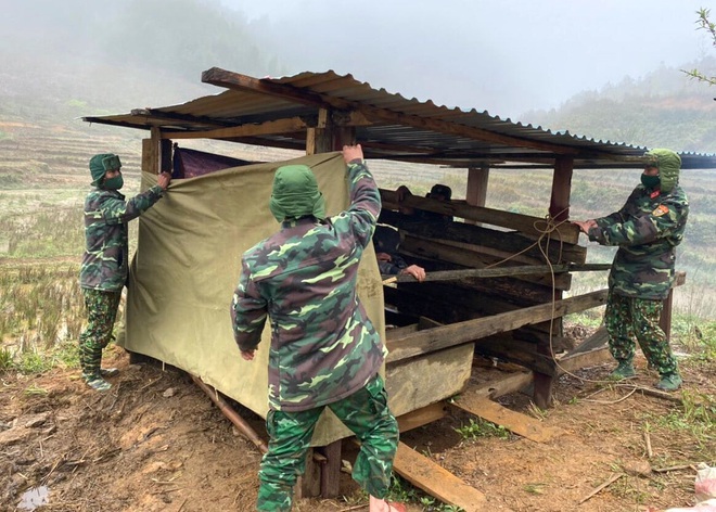 Tr&acirc;u b&ograve; li&ecirc;n tiếp chết v&igrave; gi&aacute; r&eacute;t, người d&acirc;n nuốt nước mắt xẻ thịt b&aacute;n rẻ gỡ gạc &iacute;t vốn - Ảnh 3.