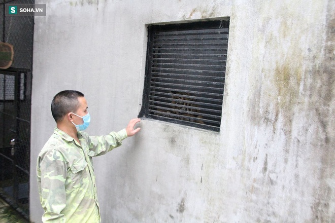 Cuộc sống sung sướng của 7 con hổ được giải cứu: Ăn thịt b&ograve; loại 1, uống sữa ngoại - Ảnh 10.