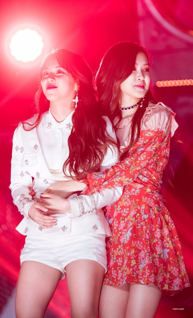 2 Chaeyoung của BLACKPINK & TWICE quen nhau từ thời xa lắc xa lơ, thậm chí có cả rổ moment quắn quéo! - Ảnh 4.