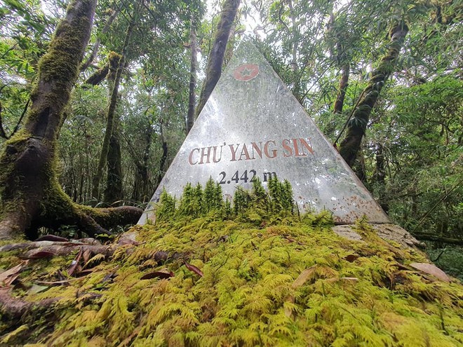 Ho&aacute; ra T&acirc;y Nguy&ecirc;n th&aacute;ng 3 cũng đẹp m&ecirc; hồn, kh&ocirc;ng thua g&igrave; c&aacute;c m&ugrave;a kh&aacute;c trong năm - Ảnh 7.