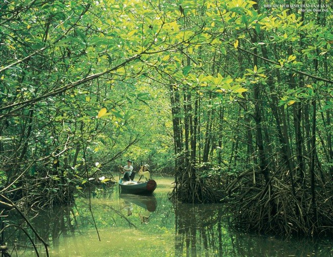 Th&egrave;m hải sản m&agrave; lười đi Vũng T&agrave;u th&igrave; sang Cần Giờ ngay v&agrave; lu&ocirc;n, đồ biển vừa tươi sống lại c&ograve;n rẻ đến bất ngờ - Ảnh 8.