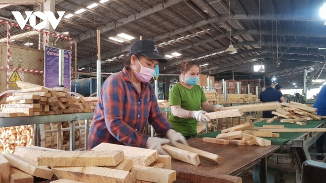 Long An mạnh dạn cho F0, F1 l&agrave;m việc trực tiếp - Ảnh 2.