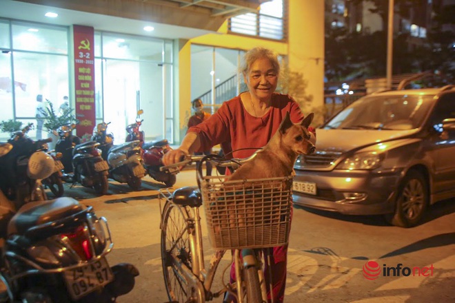 Theo chân đội bắt chó thả rông: Chủ phải có phiếu tiêm chủng, nộp phạt 1,5 triệu đồng - Ảnh 13.