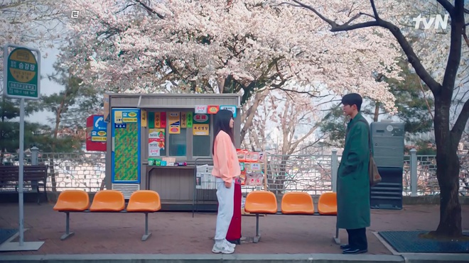 Mê mẩn loạt cảnh hoa anh đào siêu lãng mạn ở phim Hàn: A Business Proposal ngọt đến lụi tim, cái tên cuối đẹp mê hồn - Ảnh 3.