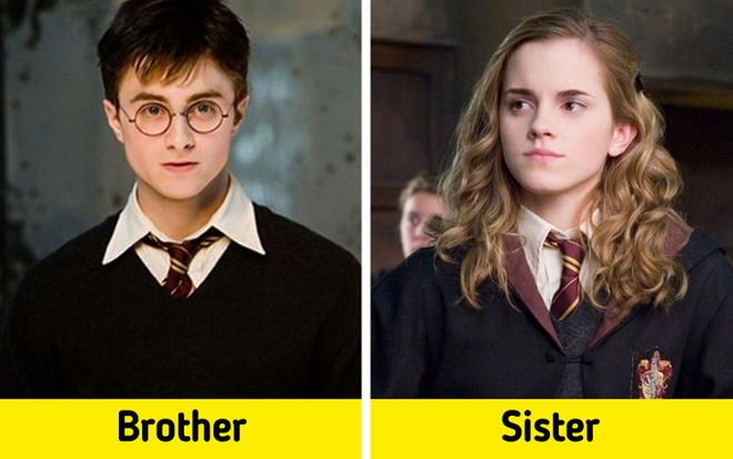 10 giả thuyết điên rồ cực hợp lý của Harry Potter: Sốc nhất là mối quan hệ của Hermione và Harry, gì vậy trời? - Ảnh 10.