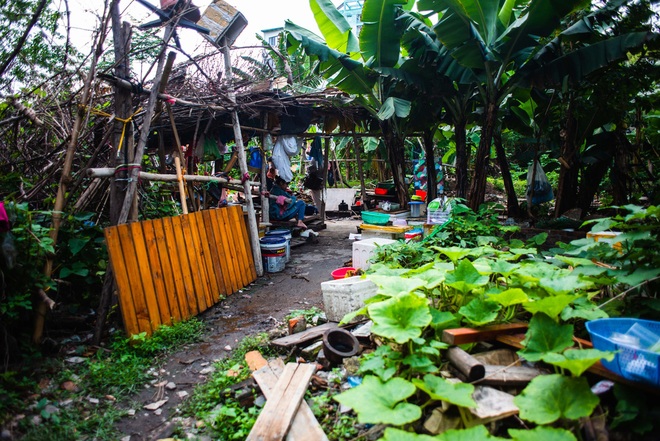 Cựu chiến binh sống trong lều hoang: Dùng đèn dầu thắp sáng, nhặt ve chai nuôi vợ tâm thần - Ảnh 1.