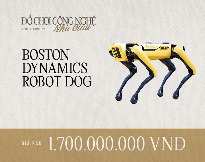 Chú chó robot làm dậy sóng MXH Việt Nam có gì hay, thông minh đến cỡ nào mà có giá lên đến 1,7 tỷ đồng? - Ảnh 1.
