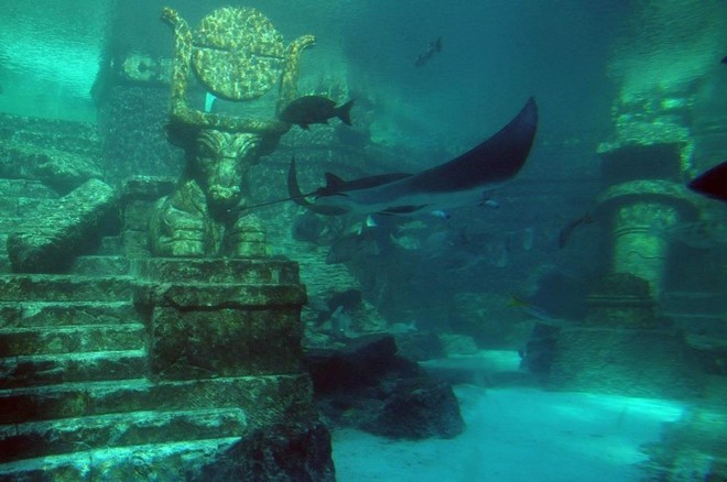 Khám phá &quot;Atlantis Phương Đông&quot;: Thành phố cổ nằm sâu dưới lòng hồ, có niên đại 1300 năm và kiến trúc kì vĩ khiến nhiều người phải nổi da gà - Ảnh 4.