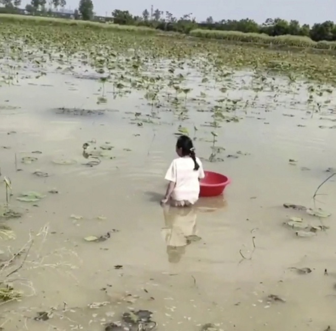 C&aacute;ch phạt con kh&ocirc;ng th&iacute;ch đi học của &ocirc;ng bố Trung Quốc khiến d&acirc;n mạng chia phe tranh c&atilde;i - Ảnh 1.