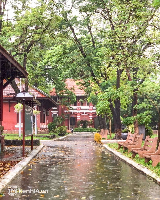 Tình trạng du lịch Huế - Đà Nẵng mấy ngày qua: Du khách “khóc thét” vì chuyến đi bão tố đúng nghĩa đen! - Ảnh 13. Tình trạng du lịch Huế - Đà Nẵng mấy ngày qua: Du khách “khóc thét” vì chuyến đi bão tố đúng nghĩa đen! - Ảnh 13.