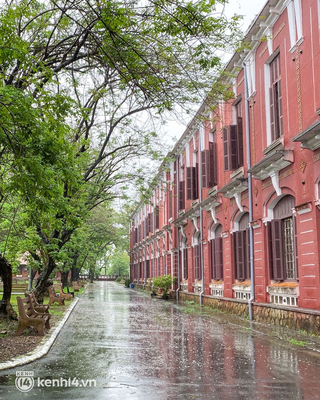 Tình trạng du lịch Huế - Đà Nẵng mấy ngày qua: Du khách “khóc thét” vì chuyến đi bão tố đúng nghĩa đen! - Ảnh 13. Tình trạng du lịch Huế - Đà Nẵng mấy ngày qua: Du khách “khóc thét” vì chuyến đi bão tố đúng nghĩa đen! - Ảnh 13.