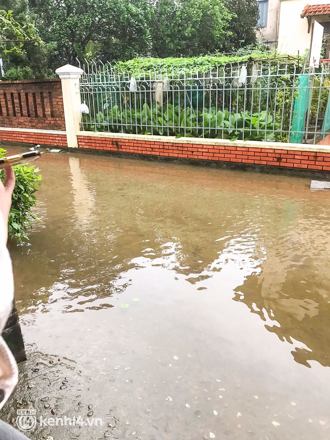 Tình trạng du lịch Huế - Đà Nẵng mấy ngày qua: Du khách “khóc thét” vì chuyến đi bão tố đúng nghĩa đen! - Ảnh 4. Tình trạng du lịch Huế - Đà Nẵng mấy ngày qua: Du khách “khóc thét” vì chuyến đi bão tố đúng nghĩa đen! - Ảnh 4.