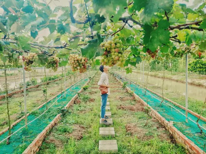 C&aacute;c điểm du lịch ở miền T&acirc;y thu h&uacute;t kh&aacute;ch: Cho&aacute;ng ngợp khi kh&aacute;ch &ugrave;n &ugrave;n đến tham quan - Ảnh 20.