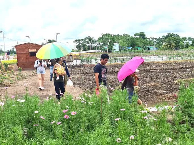 Các điểm du lịch ở miền Tây thu hút khách: Choáng ngợp khi khách ùn ùn đến tham quan - Ảnh 27.