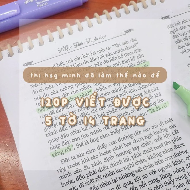 Nữ sinh đạt giải Nhất HSG Văn thành phố một lần kể hết bí kíp chém Văn 5 tờ 14 trang trong 120 phút - Ảnh 3.