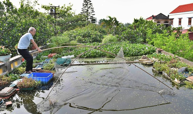 Cụ ông 87 tuổi chịu chơi mang cả cái ao đặt trên mái nhà rồi trồng rau nuôi cá: Nhiều người nói tôi liều lĩnh - Ảnh 3.