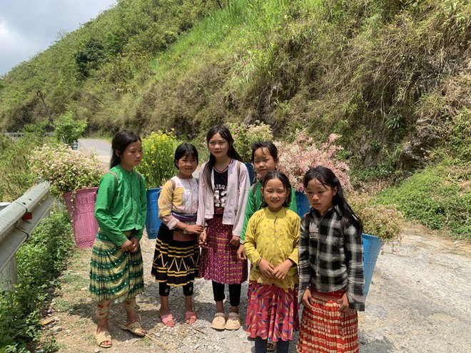 Ngỡ ngàng ngắm hoa tam giác mạch trái mùa ở Hà Giang khiến nhiều du khách không khỏi ngạc nhiên và thích thú - Ảnh 12.