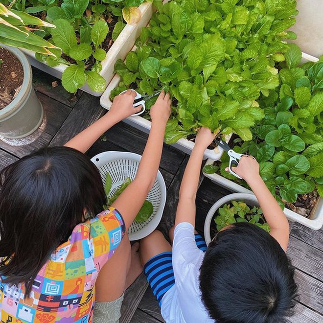 Khi phu nhân hào môn chăm con: Hà Tăng thức lúc 5h sáng, mẹ bỉm Phạm Hương - Lan Khuê cân 1 việc siêu giỏi - Ảnh 6.