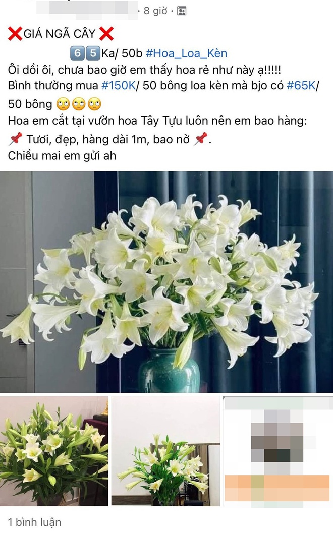 Hoa loa kèn vào mùa giá hạ nhiệt, chợ mạng rao bán chỉ từ 49k/50 bông - Ảnh 1.