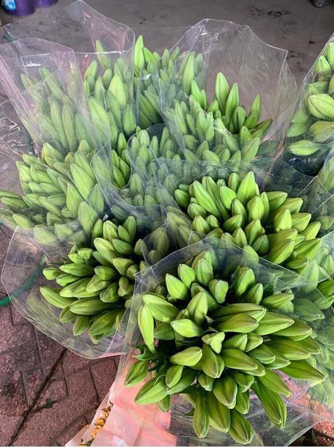Hoa loa kèn vào mùa giá hạ nhiệt, chợ mạng rao bán chỉ từ 49k/50 bông - Ảnh 4.