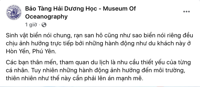 Nằm lên rạn san hô, vớt sao biển lên chụp ảnh sống ảo, người đàn ông bị lên án dữ dội bởi hành động tàn phá môi trường biển - Ảnh 1.