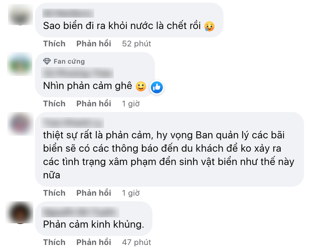 Nằm lên rạn san hô, vớt sao biển lên chụp ảnh sống ảo, người đàn ông bị lên án dữ dội bởi hành động tàn phá môi trường biển - Ảnh 3.