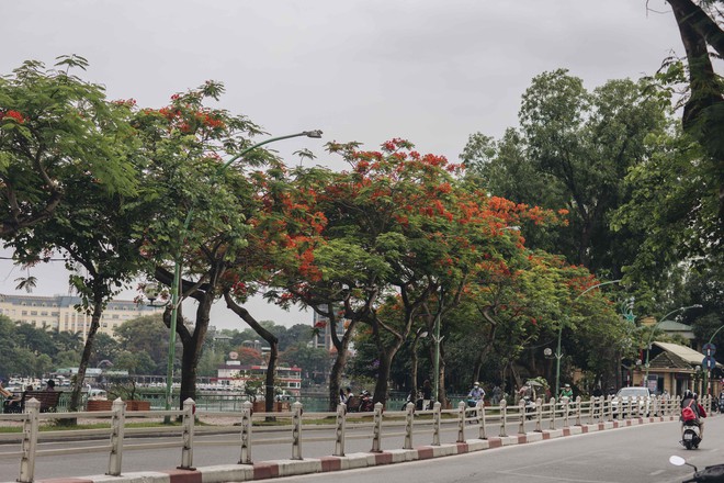 Hà Nội tháng 5, thời tiết đỏng đảnh nhưng vẫn thật rực rỡ khi những mùa hoa gọi hè về - Ảnh 10.